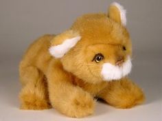 a8bcd152ca5460c604f6435e3b5389ca--lion-cub-lions.jpg